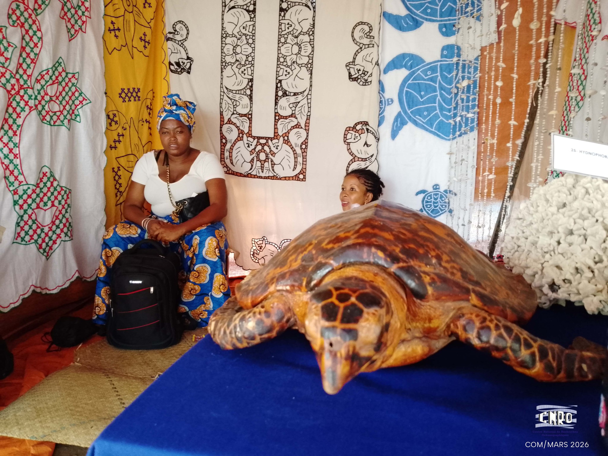 cnro2